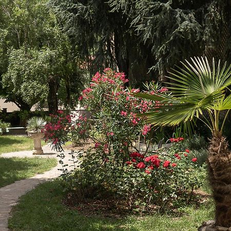 Residence Midi Mazamet Dış mekan fotoğraf