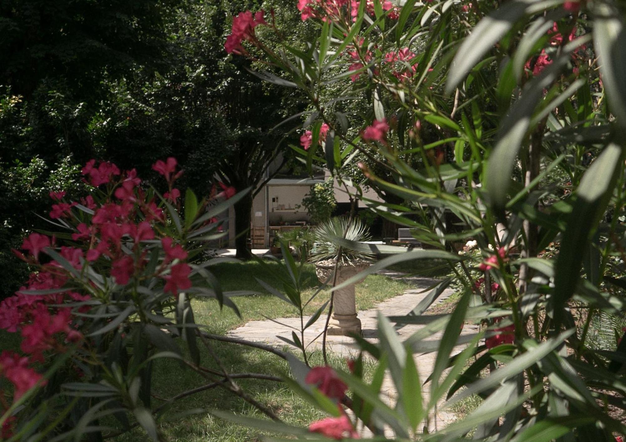 Residence Midi Mazamet Dış mekan fotoğraf