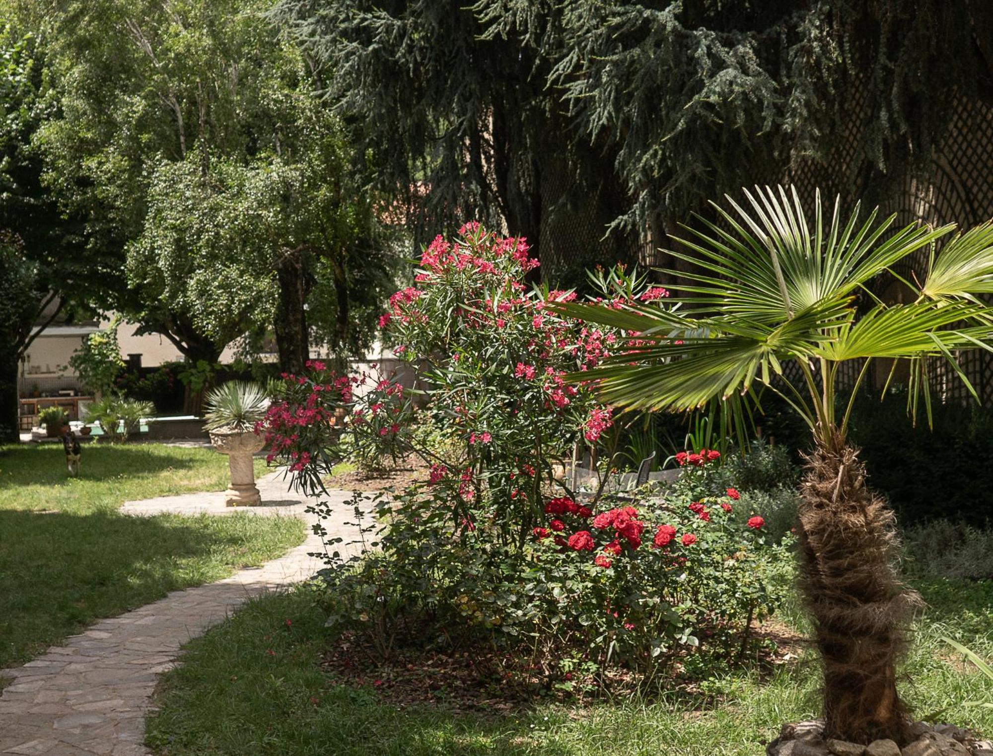 Residence Midi Mazamet Dış mekan fotoğraf